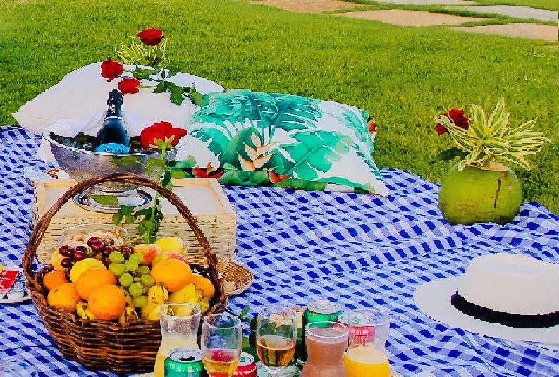 Dom Pedro Laguna | Picnic